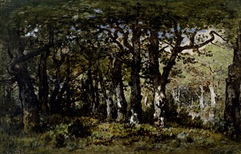 Edge of the Forest, c1860-1870. Creator: Narcisse Virgile Diaz de la Pena.