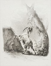 Nibbling Goat, 1805. Creator: Adam von Bartsch.