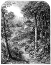 The Path to Blackdown and the Surrey Highlands, by J. W. Weymper, from the exhibition of..., 1861. Creator: Unknown.