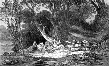 The Woodland Glade, by G. Chester, from the Royal Academy Exhibition, 1861. Creator: Unknown.
