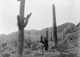 Hasen harvest B-Qahatika. Three women walking through desert, two with kiho carriers and..., c1907. Creator: Edward Sheriff Curtis.