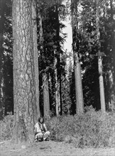 In the forest-Klamath, c1923. Creator: Edward Sheriff Curtis.