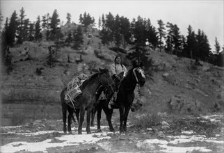 Pack horse [i.e., packhorse]-Apsaroke, c1908. Creator: Edward Sheriff Curtis.