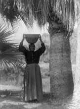 The harvester-Cahuilla, 1905, c1924. Creator: Edward Sheriff Curtis.