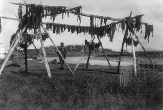 Eskimos in Alaska: Drying whale meat, Hooper Bay, c1929. Creator: Edward Sheriff Curtis.