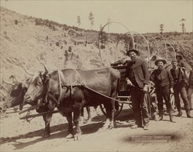 Gold Fever Prospectors going to the new Gold Field, 1889. Creator: John C. H. Grabill.