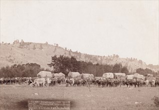 Freighting in "The Black Hills" Photographed between Sturgis and Deadwood, 1891. Creator: John C. H. Grabill.