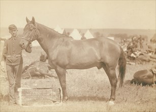 Comanche, the only survivor of the Custer Massacre, 1876 History of the horse and regimental...1887. Creator: John C. H. Grabill.