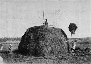 Haymaking, late 19th cent - early 20th cent. Creator: I Popov.