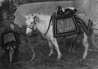 Horse in festive harness and rider in ceremonial attire, 1890.  Creator: Unknown.