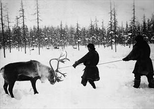 They Caught a Reindeer, 1890. Creator: Unknown.