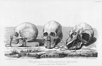 Illustration of Nukagiva Skulls, 1813. Creator: Unknown.