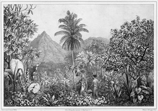 View of Kosrae Island, Caroline Islands, 19th century. Creators: Friedrich Heinrich Kittlitz, Godefroy Engelmann, Jules David.