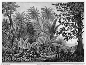 View of Lukunor Island, Lower Caroline Islands, 19th century. Creators: Alexander Postels, Godefroy Engelmann, Emile-Charles Wattier.