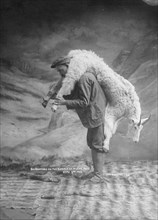 S.A. Crawford carrying a goat, 1905. Creator: Case & Draper.