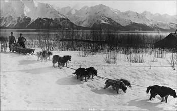 Dog team, between c1900 and c1930. Creator: Unknown.