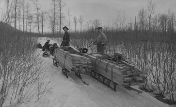 Hauling lumber by dog sleds, between c1900 and c1930. Creator: Unknown.