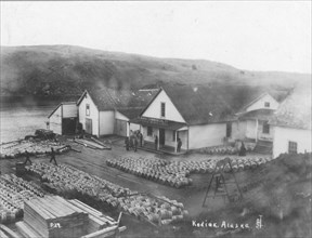 Salmon works, between c1900 and c1930. Creator: Unknown.