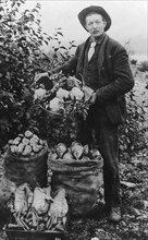 Vegetables, between c1900 and c1930. Creator: Unknown.