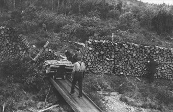 Wood chopper's station with fuel for steamers on the Upper Yukon, between c1900 and c1930. Creator: Unknown.
