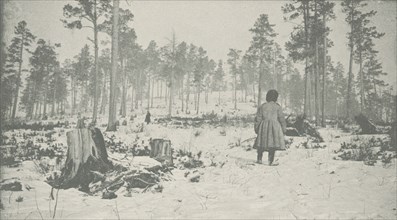 Forest on the Circum-Baikal Road, 1906. Creator: Unknown.