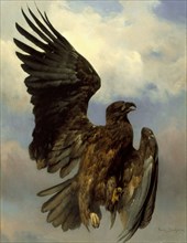 The Wounded Eagle, c1870. Creator: Rosa Bonheur.