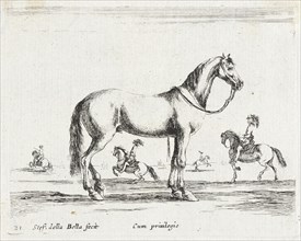 A Horse, 1641. Creator: Stefano della Bella.