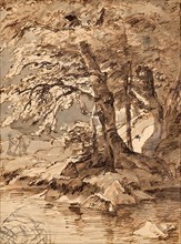 Tree study, undated. (c1850s) Creator: Friedrich Gauermann.