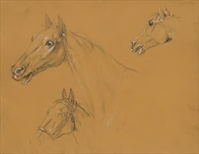 Horse study for "Archduke Karl with his staff in the Battle of Aspern", before 1817. Creator: Johann Peter Krafft.