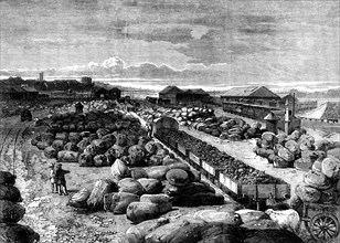 Cotton bales lying at the Bombay terminus of the Great Indian Peninsular Railway, 1862. Creator: Unknown.