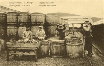 Nikolaevsk-on-Amur. Pressing fish, 1900. Creator: Unknown.
