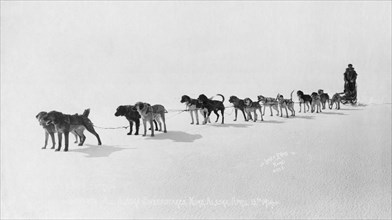 Dog team at Seventh All Alaska Sweepstakes, April 13, 1914. Creator: Unknown.