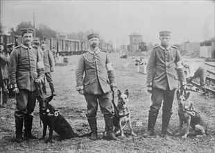German Red Cross dogs, between 1914 and c1915. Creator: Bain News Service.