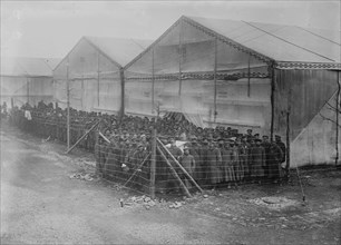 Prisoners in detention pen, Germany, between c1915 and c1916. Creator: Bain News Service.