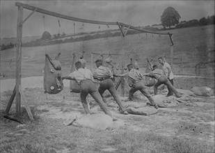 Bayonet practice, British training, 16 Aug 1917. Creator: Bain News Service.