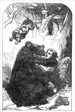 The Young Yachtsmen: Granville and the Bear, 1864. Creator: Unknown.