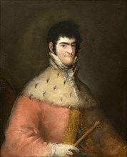 Portrait of King Ferdinand VII of Spain, 1808. Creator: Goya, Francisco, de (1746-1828).