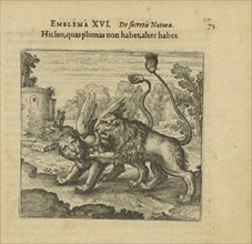 Emblem 16. This lion has no feathers, but that one has. From "Atalanta fugiens" by Michael..., 1618. Creator: Merian, Matthäus, the Elder (1593-1650).
