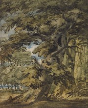 A Wooded Landscape, c1752. Creator: Thomas Girtin.