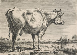 No title. (Cattle study.), c.1798. Creator: Pieter Gerardus van Os.