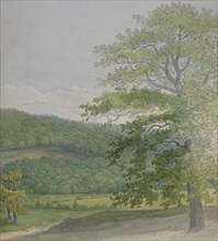 Wooded landscape, 1790s-1820s. Creator: John White Abbott.