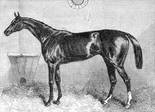 General Peel, the winner of the Two Thousand Guineas at the Newmarket Spring Meeting, 1864. Creator: Unknown.