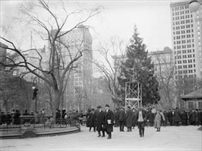 Xmas tree in Madison Sq. Park, N.Y.C., between c1910 and c1915. Creator: Bain News Service.