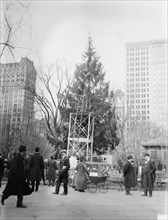 Xmas tree in Madison Sq. Park, N.Y.C., between c1910 and c1915. Creator: Bain News Service.