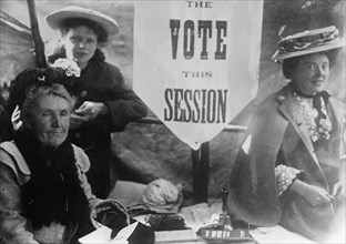 Suffragettes and petitions, between c1910 and c1915. Creator: Bain News Service.