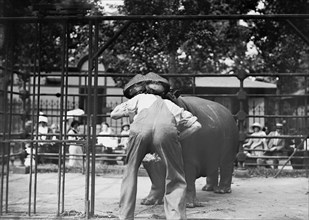 Central Park - man with head in hippo's mouth, between c1910 and c1915. Creator: Bain News Service.