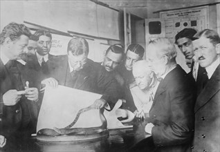 Roosevelt watching snake fight, Sao Paolo, between c1910 and c1915. Creator: Bain News Service.