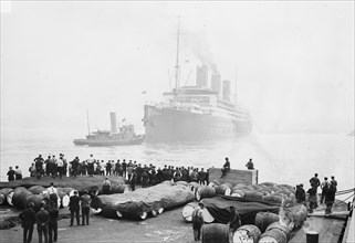 Vaterland Departs, 5/26/14. Creator: Bain News Service.