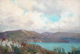 Wellington Harbour from Muritai,  c1910. Creator: Clas Edvard Fristrom.