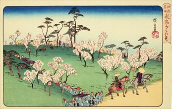 Asukayama Hanami (Cherry Blossom Viewing at Asukayama), 1950. Creator: Ando Hiroshige.
